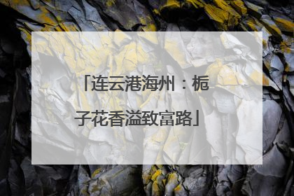 连云港海州：栀子花香溢致富路