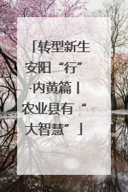 转型新生安阳“行”·内黄篇丨农业县有“大智慧”