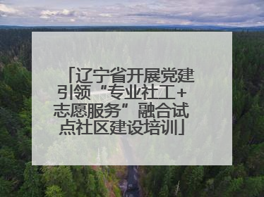 辽宁省开展党建引领“专业社工+志愿服务”融合试点社区建设培训