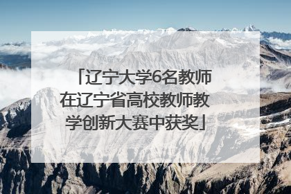 辽宁大学6名教师在辽宁省高校教师教学创新大赛中获奖