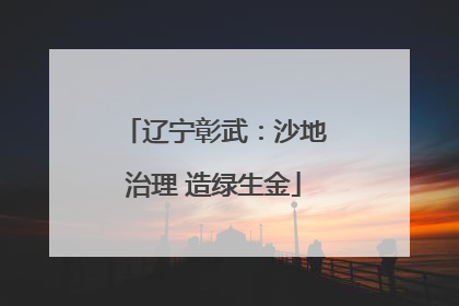 辽宁彰武：沙地治理 造绿生金