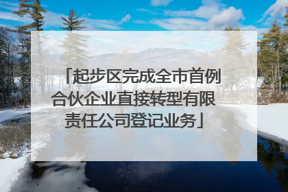 起步区完成全市首例合伙企业直接转型有限责任公司登记业务