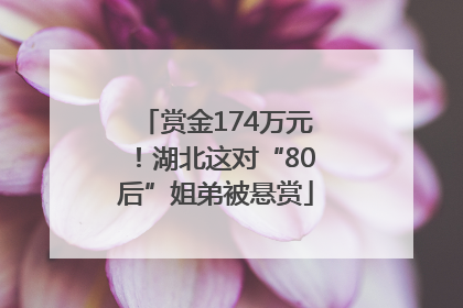 赏金174万元！湖北这对“80后”姐弟被悬赏