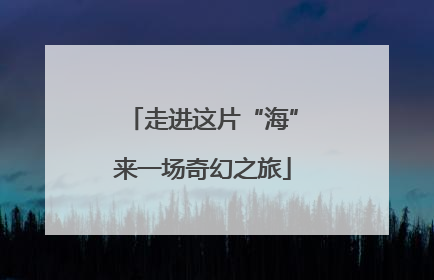 走进这片“海”来一场奇幻之旅