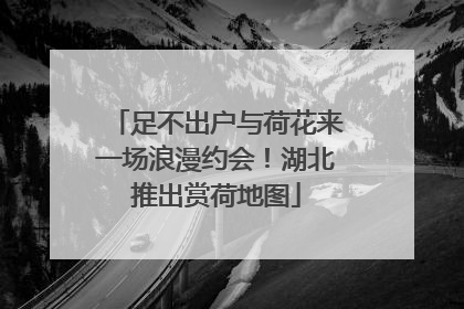 足不出户与荷花来一场浪漫约会！湖北推出赏荷地图