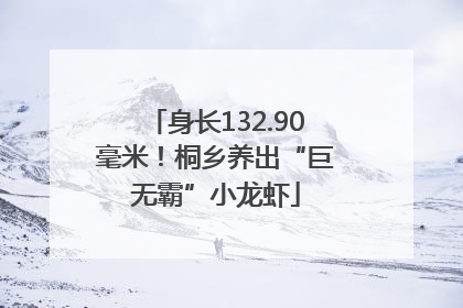 身长132.90毫米！桐乡养出“巨无霸”小龙虾