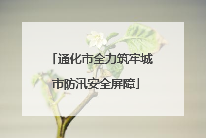 通化市全力筑牢城市防汛安全屏障