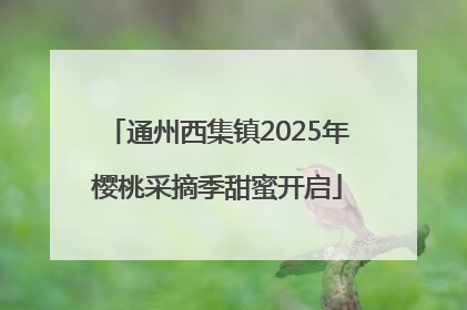 通州西集镇2025年樱桃采摘季甜蜜开启