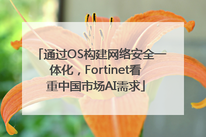 通过OS构建网络安全一体化，Fortinet看重中国市场AI需求