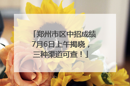 郑州市区中招成绩7月6日上午揭晓，三种渠道可查！