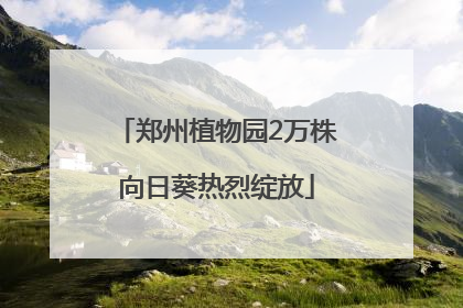 郑州植物园2万株向日葵热烈绽放