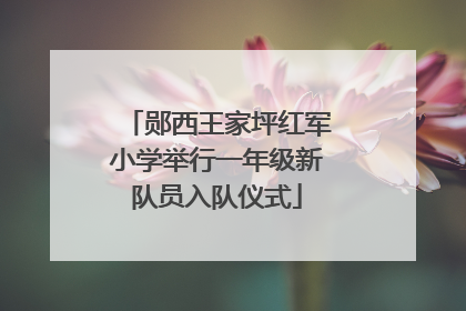 郧西王家坪红军小学举行一年级新队员入队仪式