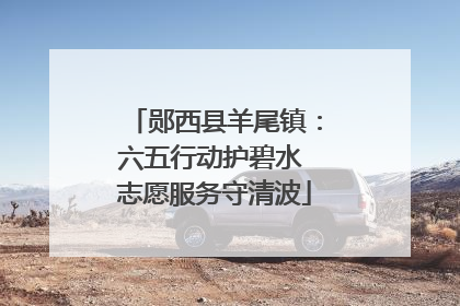 郧西县羊尾镇：六五行动护碧水 志愿服务守清波