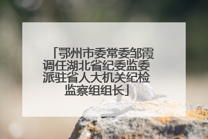鄂州市委常委邹霞调任湖北省纪委监委派驻省人大机关纪检监察组组长