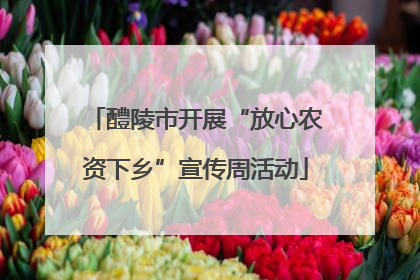 醴陵市开展“放心农资下乡”宣传周活动