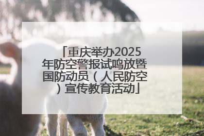 重庆举办2025年防空警报试鸣放暨国防动员（人民防空）宣传教育活动