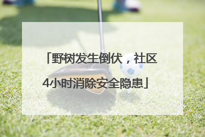 野树发生倒伏，社区4小时消除安全隐患