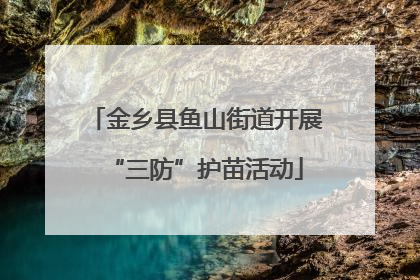金乡县鱼山街道开展“三防”护苗活动