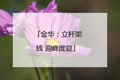 金华：立杆架线 迎峰度夏