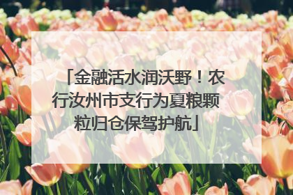 金融活水润沃野！农行汝州市支行为夏粮颗粒归仓保驾护航
