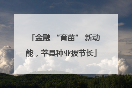 金融 “育苗” 新动能，莘县种业拔节长