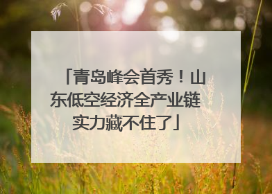 青岛峰会首秀！山东低空经济全产业链实力藏不住了