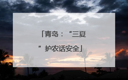 青岛：“三夏”护农话安全
