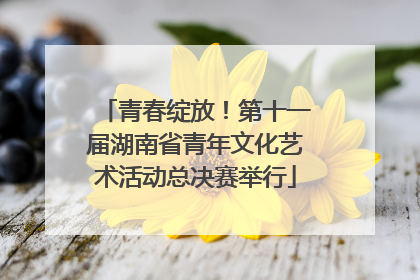 青春绽放！第十一届湖南省青年文化艺术活动总决赛举行