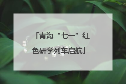 青海“七一”红色研学列车启航