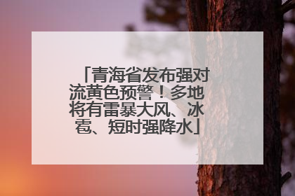 青海省发布强对流黄色预警！多地将有雷暴大风、冰雹、短时强降水