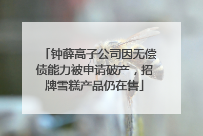 钟薛高子公司因无偿债能力被申请破产，招牌雪糕产品仍在售