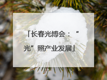 长春光博会：“光”照产业发展