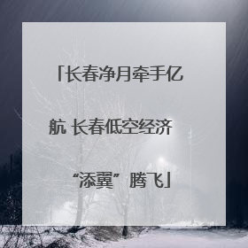 长春净月牵手亿航 长春低空经济“添翼”腾飞
