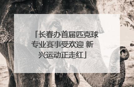 长春办首届匹克球专业赛事受欢迎 新兴运动正走红