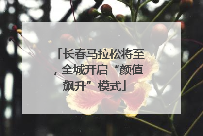长春马拉松将至，全城开启“颜值飙升”模式