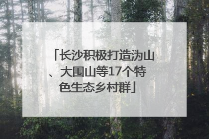 长沙积极打造沩山、大围山等17个特色生态乡村群