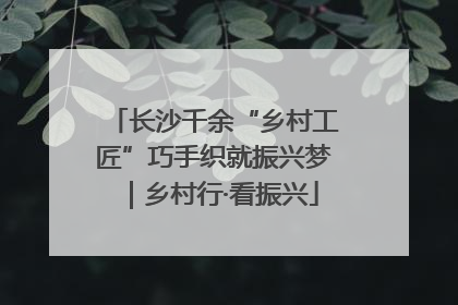 长沙千余“乡村工匠”巧手织就振兴梦｜乡村行·看振兴