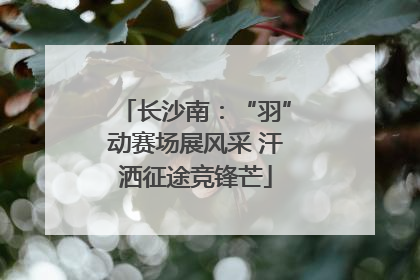 长沙南：“羽”动赛场展风采 汗洒征途竞锋芒