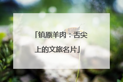 镇原羊肉：舌尖上的文旅名片