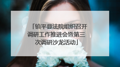 镇平县法院组织召开调研工作推进会暨第三次调研沙龙活动