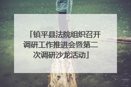 镇平县法院组织召开调研工作推进会暨第二次调研沙龙活动