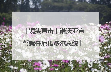 镜头直击丨诺沃亚宣誓就任厄瓜多尔总统