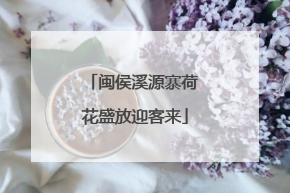 闽侯溪源寨荷花盛放迎客来