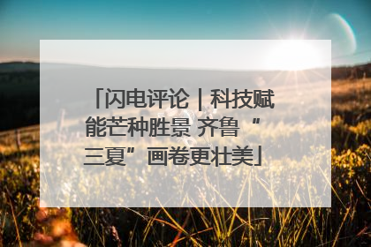 闪电评论｜科技赋能芒种胜景 齐鲁“三夏”画卷更壮美