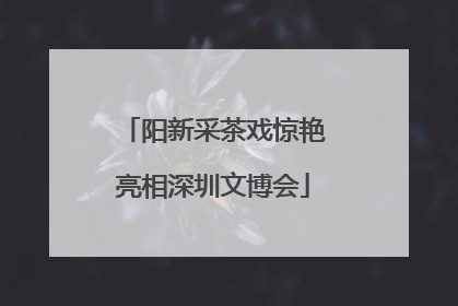 阳新采茶戏惊艳亮相深圳文博会