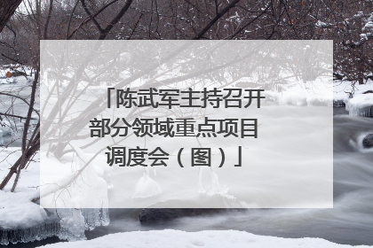 陈武军主持召开部分领域重点项目调度会（图）