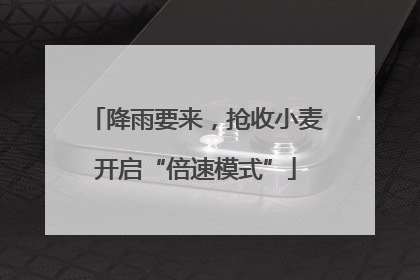 降雨要来，抢收小麦开启“倍速模式”