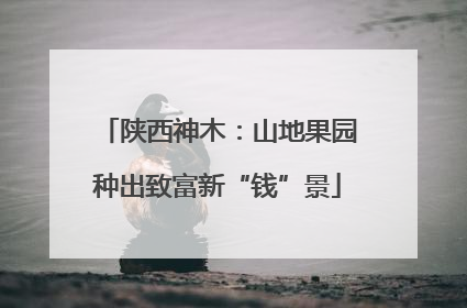 陕西神木：山地果园种出致富新“钱”景