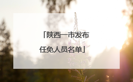 陕西一市发布任免人员名单