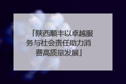 陕西顺丰以卓越服务与社会责任助力消费高质量发展